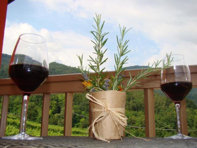 Agritur Maso Spezial Βίλα Villa Lagarina Εξωτερικό φωτογραφία