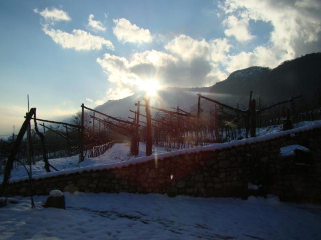 Agritur Maso Spezial Βίλα Villa Lagarina Εξωτερικό φωτογραφία