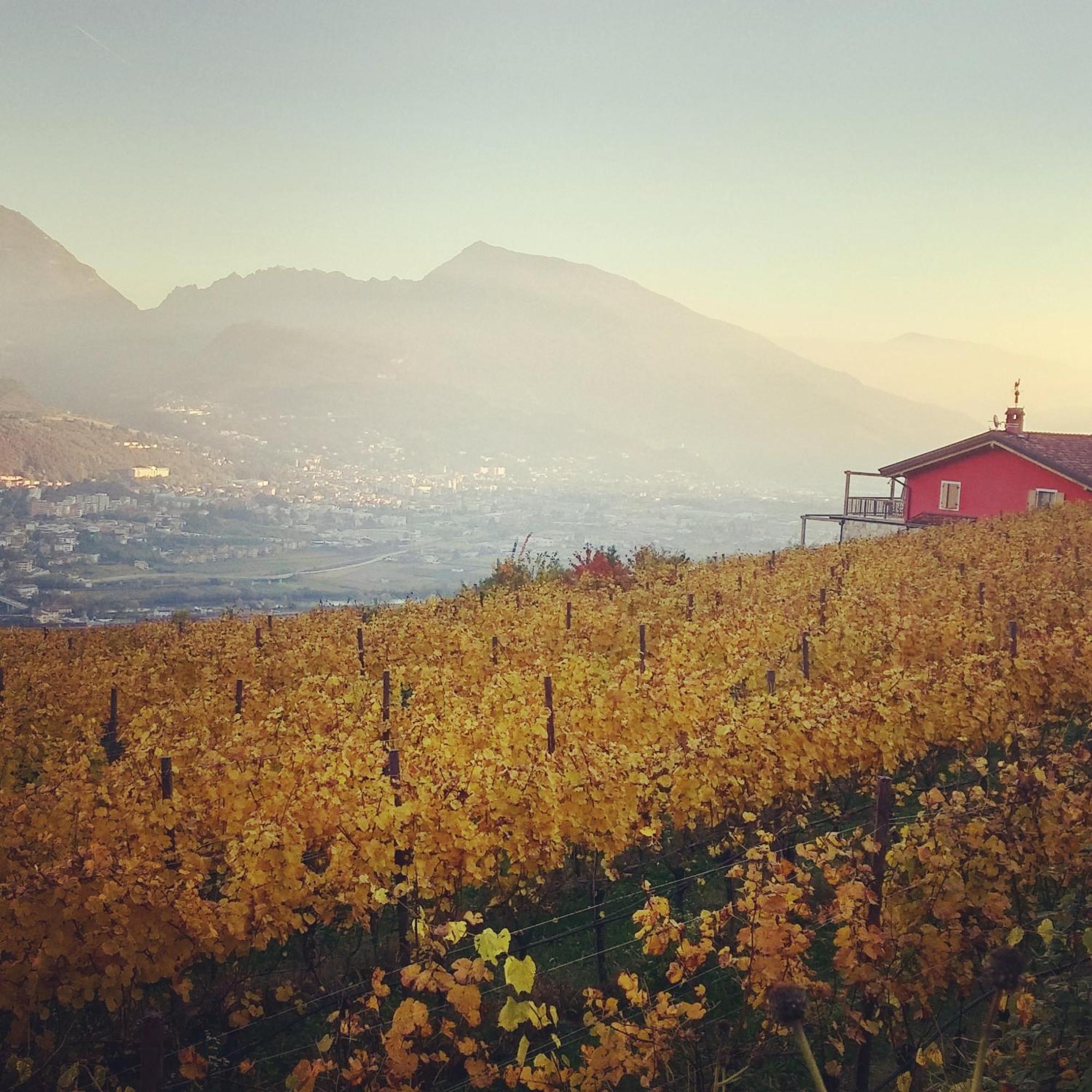 Agritur Maso Spezial Βίλα Villa Lagarina Εξωτερικό φωτογραφία