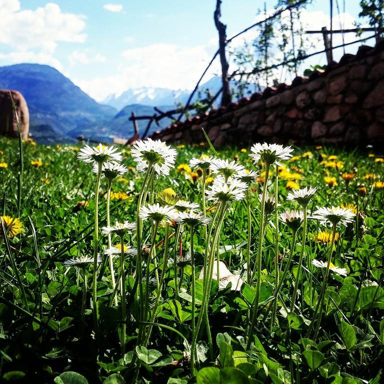Agritur Maso Spezial Βίλα Villa Lagarina Εξωτερικό φωτογραφία