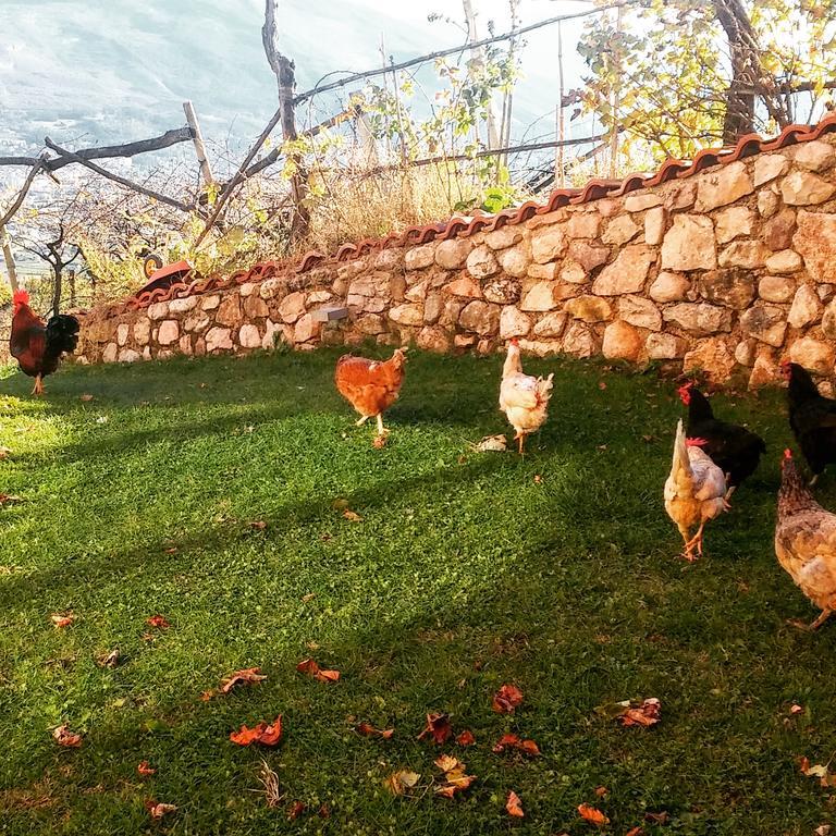 Agritur Maso Spezial Βίλα Villa Lagarina Εξωτερικό φωτογραφία