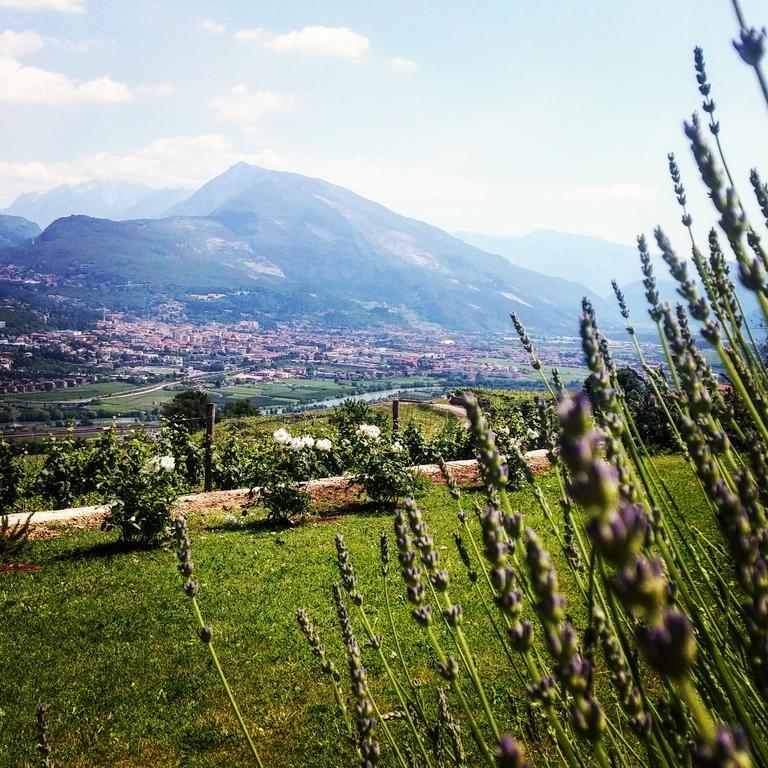 Agritur Maso Spezial Βίλα Villa Lagarina Εξωτερικό φωτογραφία